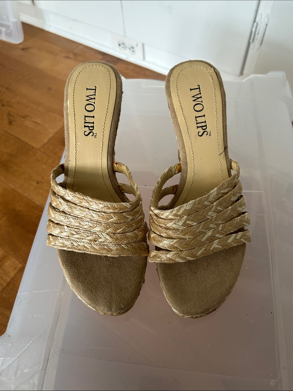 Two Lips Metallic Gold Braided Strap Slide Mules